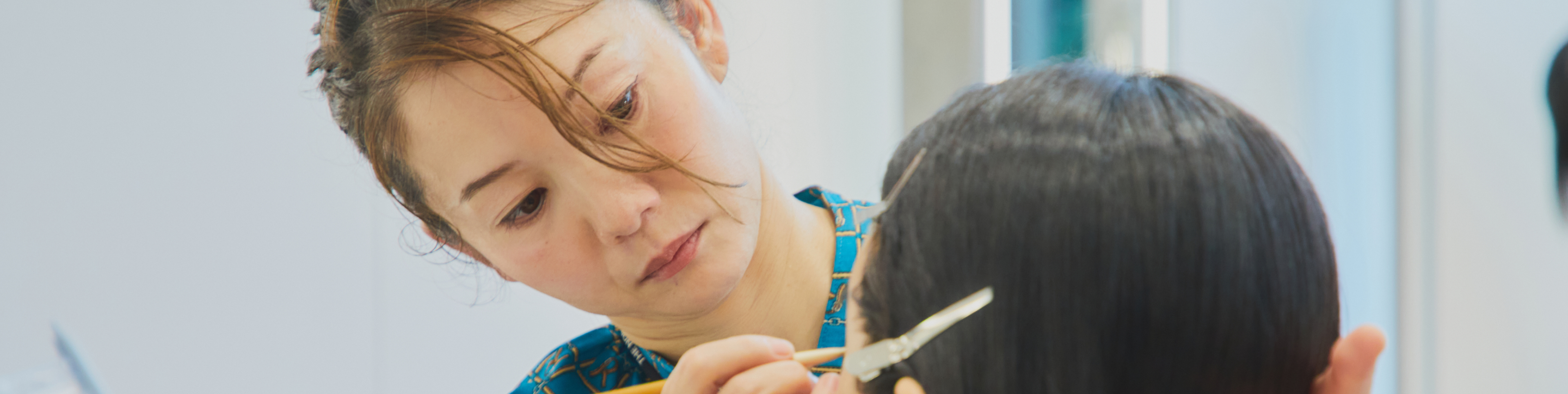 学生・卒業生の声